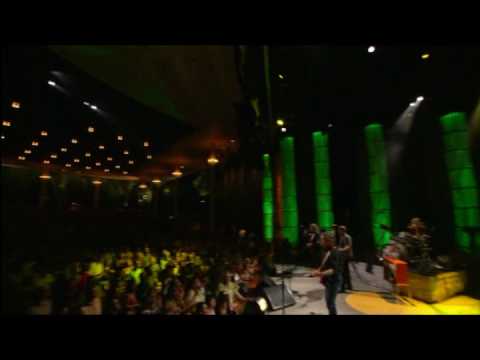 Steve Miller Band cover