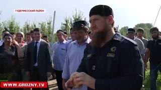 Рамзан Кадыров и Лев Кузнецов побывали на плодопитомнике «Сады Чечни»