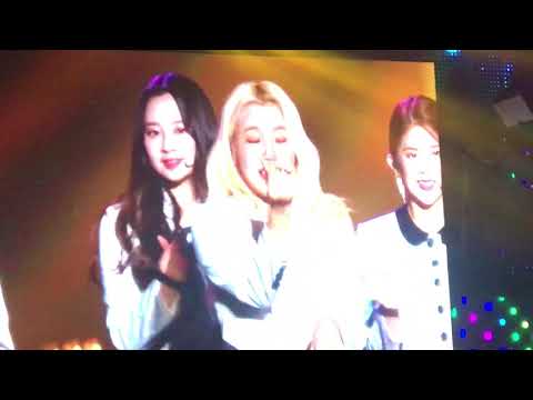 [180907 HallyuPopFest] Momoland - Bboom Bboom!