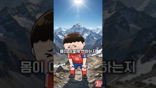 2026 월드컵 해발 1600m 고지대의 저산소 — 햄스트링·무릎 인대 파열 메커니즘 전 국가대표 주치의가 해설 ⚽ #shorts