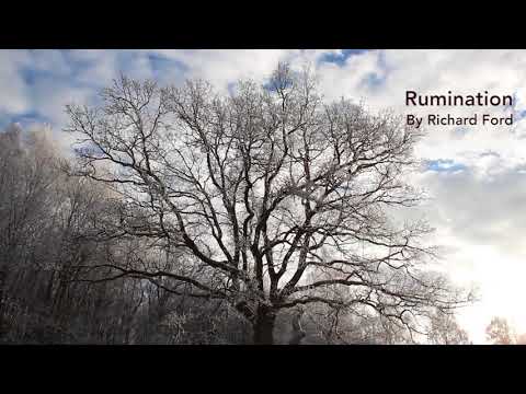 Rumination: Ambient Cinematic Background Relaxing Music [Royalty free] by Richard Carey Ford