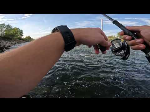 Ribolov soma na Savi glavinjarom (Catfish on river Sava)