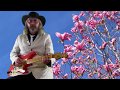 Spring is Nearly Here (Guitar instrumental)