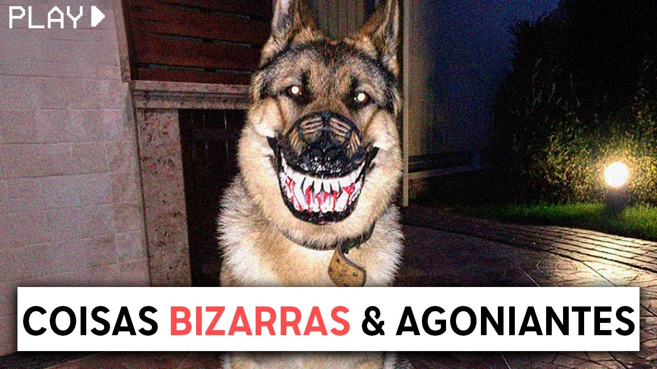 Acontecimentos Bizarros [VOL.1]