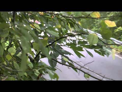 GSMP Korczyna 2013 -  Rafał Szebla - BMW M3