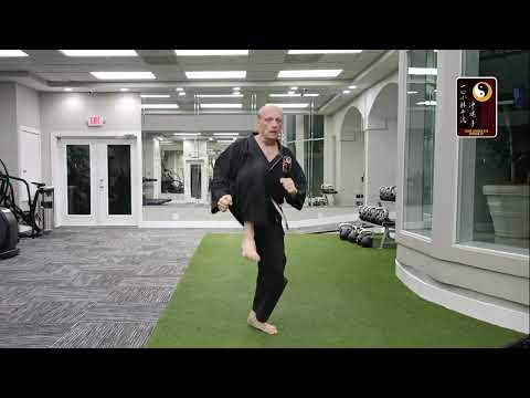 Tracking Legs: Slip in – Front Kick – Sensei Rod Lindgren