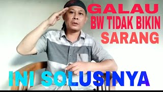 Download lagu 6 bulan Burung walet belum buat sarang# rumah walet#desain#sp# mp3