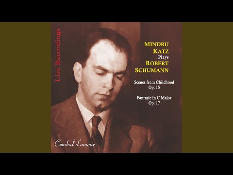 Kinderszenen, Op. 15 (Scenes from Childhood) : Am Kamin (By the Fireside)