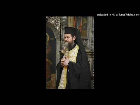 Părintele Teofil Roman    22.03.2015      Vindecarea fiului lunatic  Cuvânt la Sfânta Liturghie