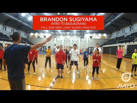 Intro to Baguazhang - TERP Wushu Joint Practice, Fall 2018