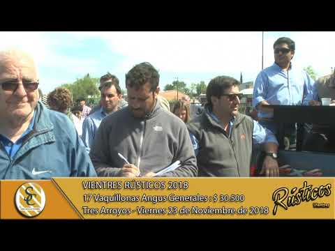 23-11-18 Venta de Vaq. Angus P.C. y Grales. - Vientres Rústicos 2018 - Tres Arroyos