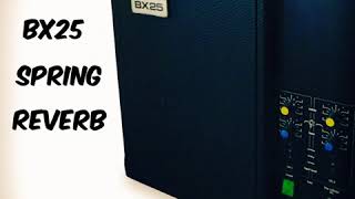 Video thumbnail for AKG BX-25 ANALOG SPRING REVERB IMPULSE RESPONSES DEMO! by PAST TO FUTURE