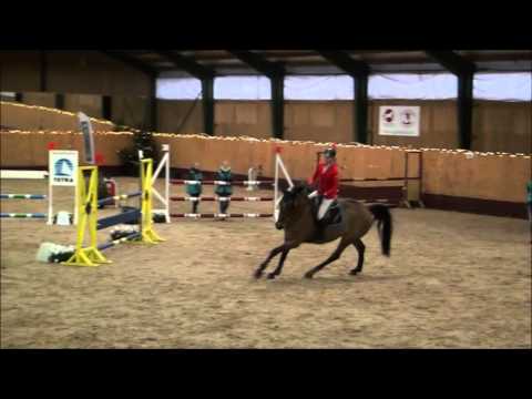 EPHorses - Chocolat (SOLD)