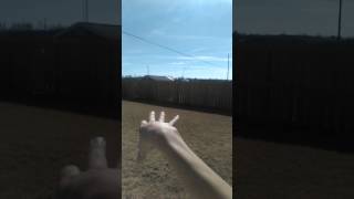 Black hole sun is imploding and our DNA time clock stopped at 2012.