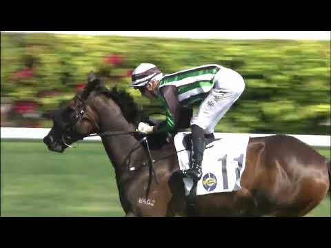 10/4/2022 (570) Natural Gold - L Hewitson