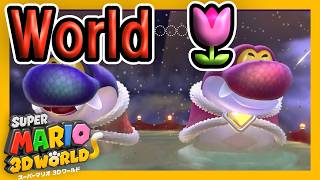 スーパーマリオ3Dワールドをプレイ World 11