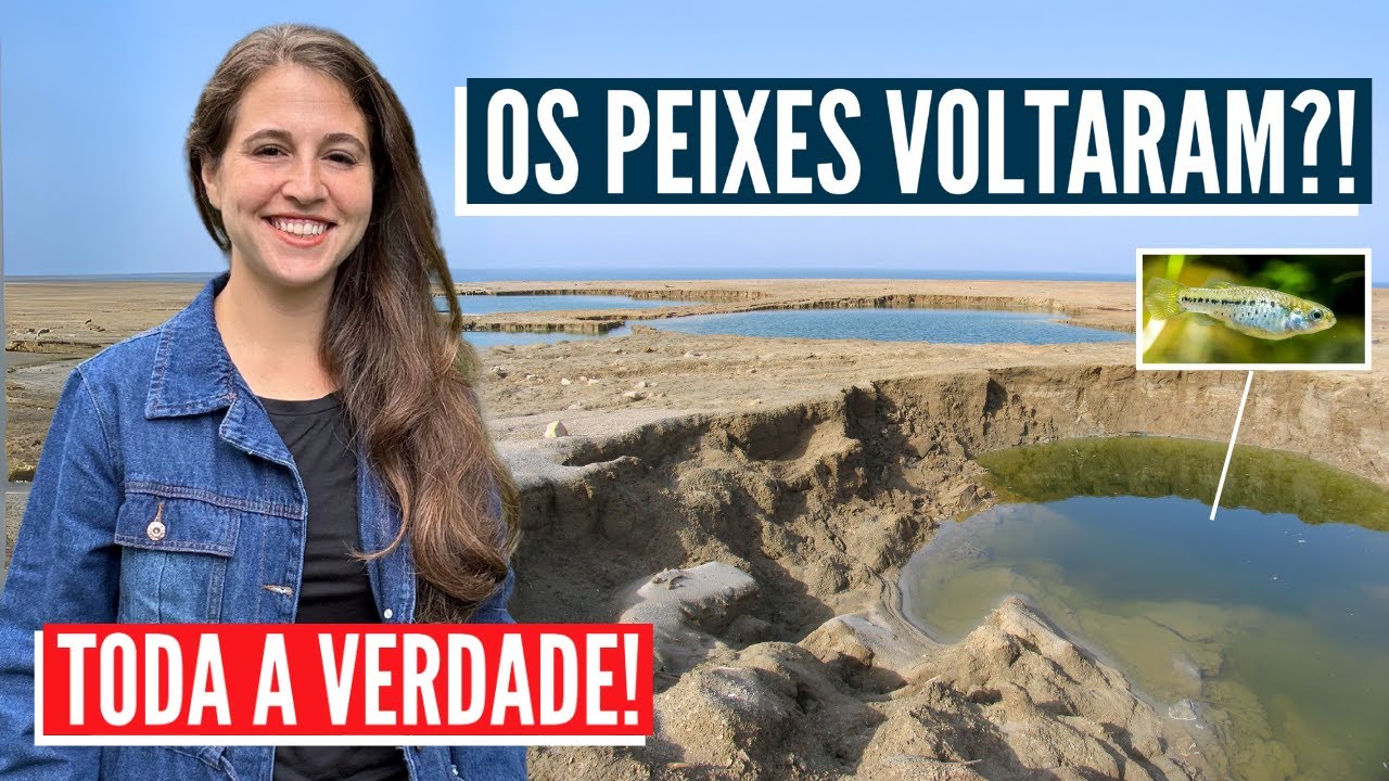 DESCOBERTAS INEDITAS SOBRE AS PROFECIAS! Israel com Aline