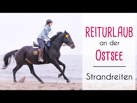 Reiturlaub in Deutschland: Komm mit zum Strandritt an der Ostsee!