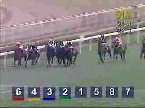 17/02/2008 THE CHAIRMAN'S SPRINT PRIZE --SACRED KINGDOM