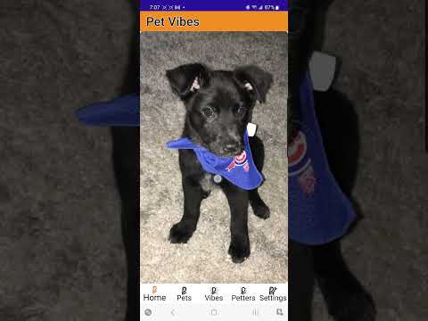 PetVibes