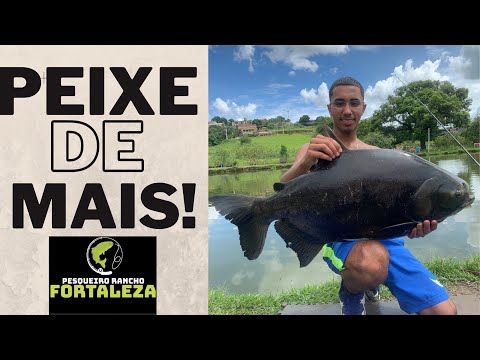 NESSE DIA OS BRAÇOS FICARAM CANSADOS, MUITO PEIXE NESSE LUGAR!