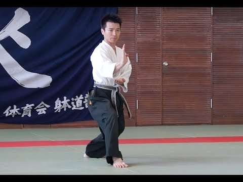 躰道 其の壱