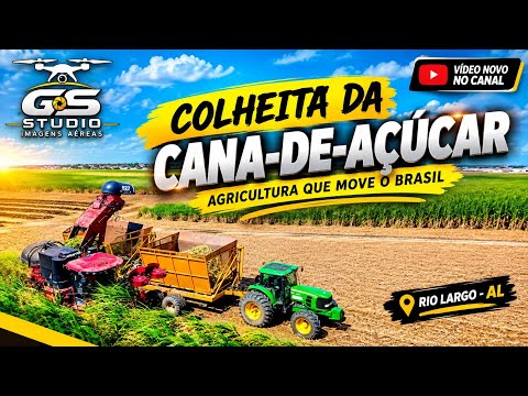 Maquina colheitadora de Cana de açúcar - Rio Largo / Alagoas Visto de Cima DJI MINI 3