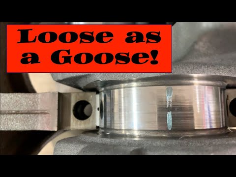 Loose as a Goose! Are Bearing Clearances Absolute? #AHRA #nonamenationals