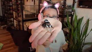 Unboxing Toy Jumping Spiders from Japan!!