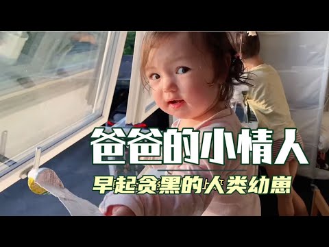 If We Could Rate Foodie Cubs, Our Rouyi Baby Would Definitely Get Full Marks. "Tasted" Snails, Seeing Dad's Earthworm Makes Her Swallow Haha