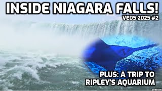 Experiencing Niagara Falls (and petting stingrays)