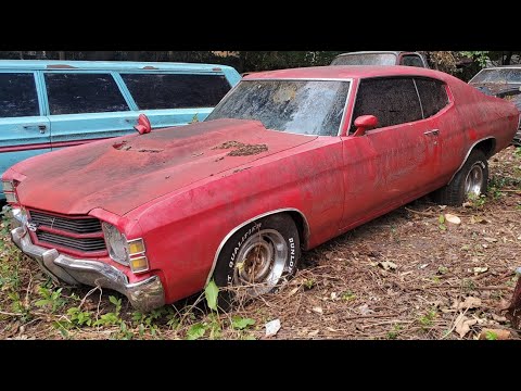 1971 Chevelle SITTING For 20ish Years - Will It Run? NNKH