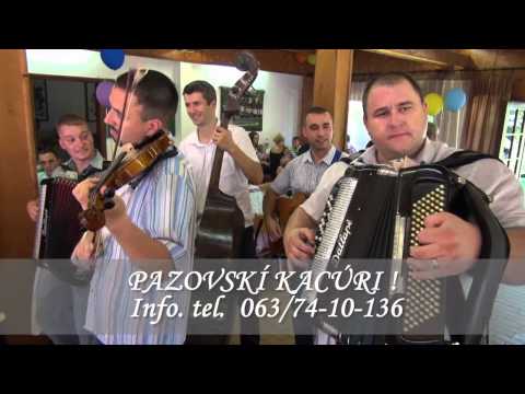 Pazovskí Kacúri