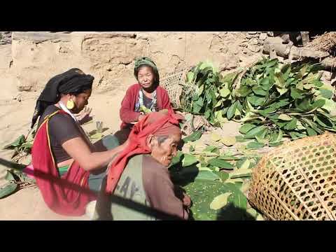 Cooking food for wedding day party ll traditional plate making style
