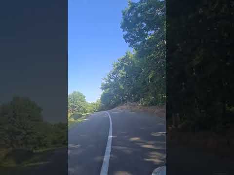 Drumul Sovarna-Runcusor-Dalma, 10km.