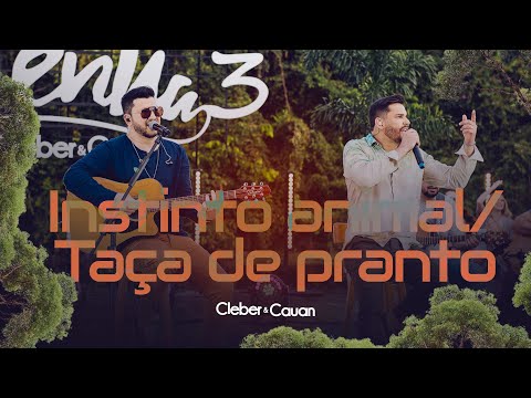 Cleber e Cauan - Pot-Pourri - Instinto Animal - Taça de Pranto | Resenha 3