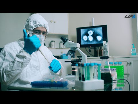 Náhled pro video reference