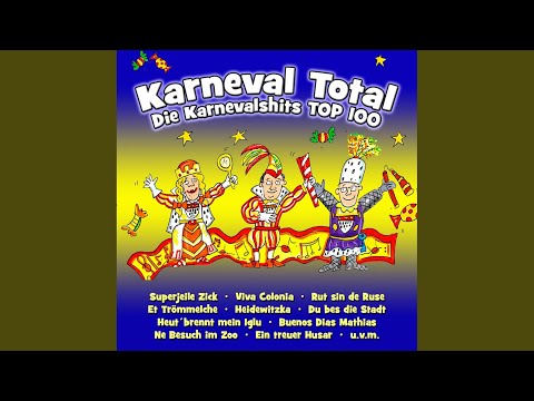 Jetz loss mer ens schunkele (Karneval Schunkel Mix)