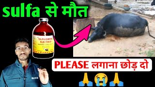 😭Sulfa injection से पशु कि मौत ? sulphadimidine injection use in animals | vet injection |