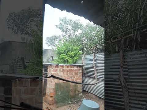 llueve en la hermosa y calorosa bosconia César costa norte Colombia sur américa