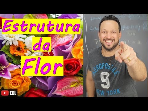 Flower Structure - Angiosperms - Biology with the Shark