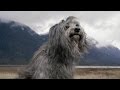 Passenger - Heart of Gold (Neil Young Cover)