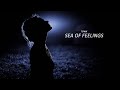 LOWX - SEA OF FEELING Part II