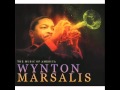 Music of America: Wynton Marsalis -- Go, Possum, Go (Instrumental)