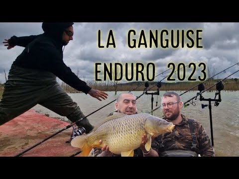 pêche de la carpe : enduro de la ganguise 2023 #carpfishing #pêche #enduro #competition #carp