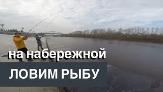 Где поймать щуку в тюмени