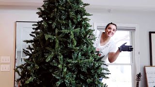 How to Fluff or Shape an Artificial Christmas Tree with Ingrid Brown