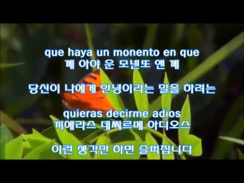 ☞Solo Hay Una Para Mi(오직 나만을 위해 있어주오)