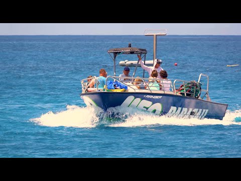 Tudo em torno de Kailua-Kona, HI em 4K