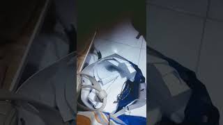 Download lagu 11 November 2025 mp3 Download lagu 11 November 2025 mp3